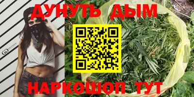 дживик Кунгур