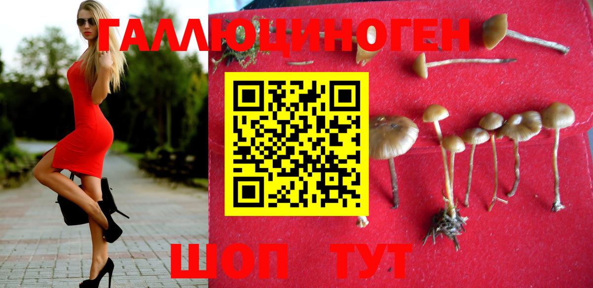 Псилоцибиновые грибы мухоморы  Вход с VPN  Великие Луки  Псилоцибиновые грибы прущие грибы 